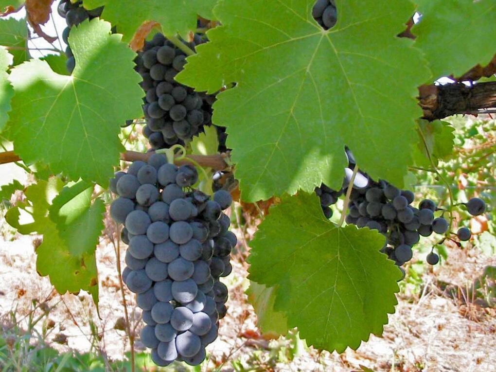 Gite Les Aiguillans Mérindol-les-Oliviers Eksteriør billede