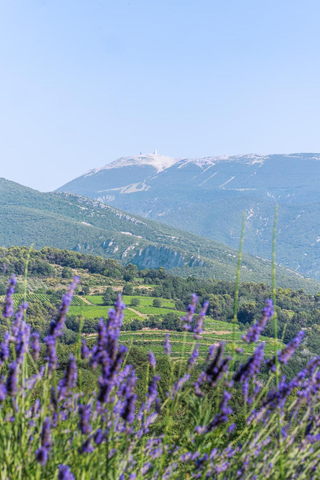 Gite Les Aiguillans Mérindol-les-Oliviers Eksteriør billede